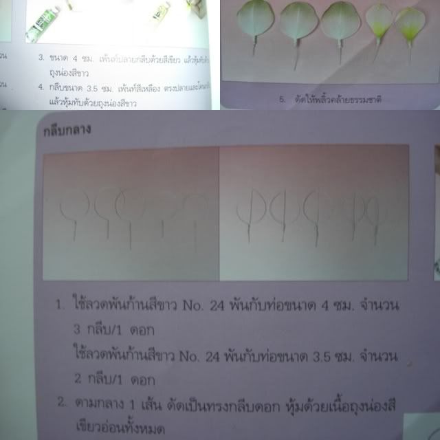 รูปภาพ