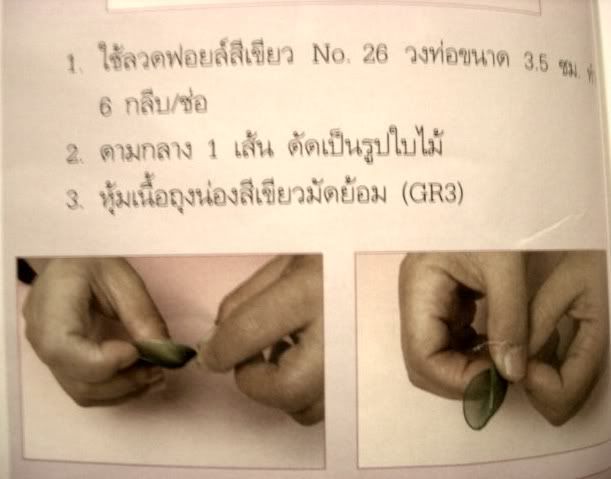 รูปภาพ