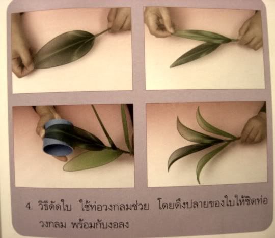 รูปภาพ