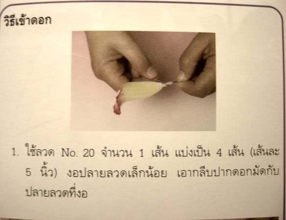 รูปภาพ