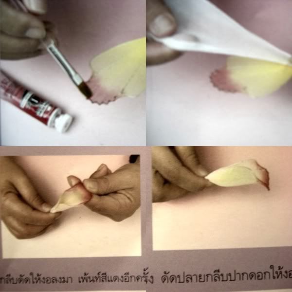 รูปภาพ