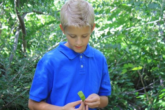  photo IMG_4449_zpsbbl5n3mg.jpg