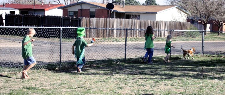 photo IMG_8229_zpsb8853cfc.jpg