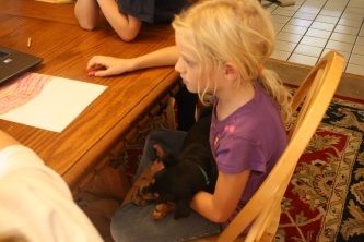 photo IMG_8399_zpsxe70l0x8.jpg