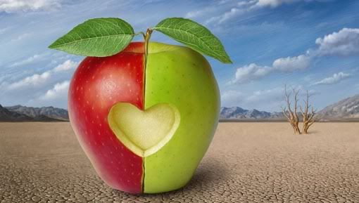Mahir Ates “Story of the Apples”