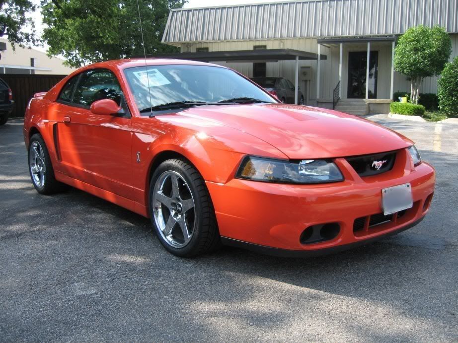 2004 Mustang Cobra Image