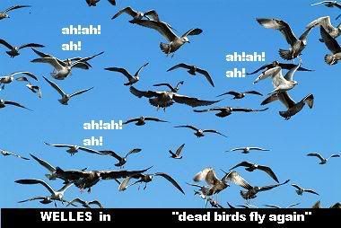 Dead birds