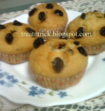Fruit muffin recipes