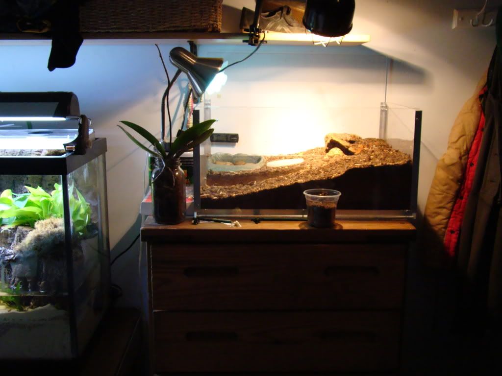 DSC04302.jpg