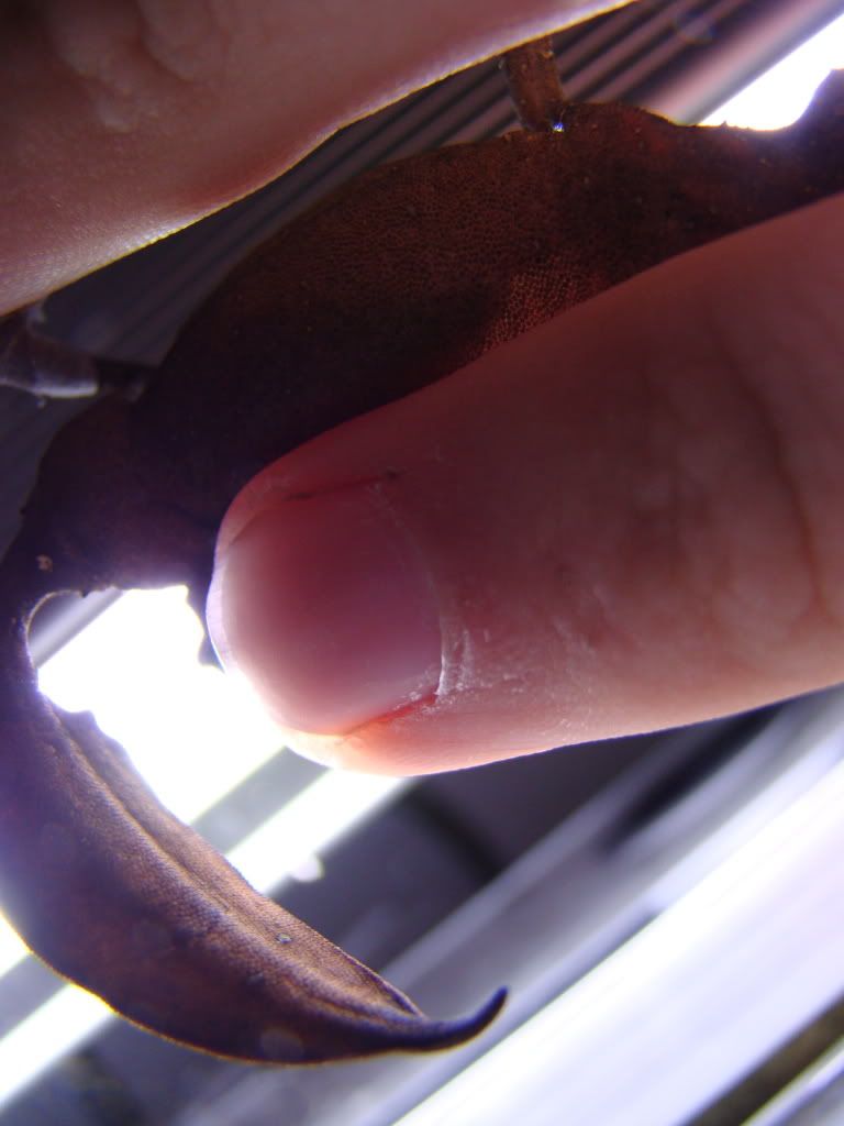 DSC04413.jpg