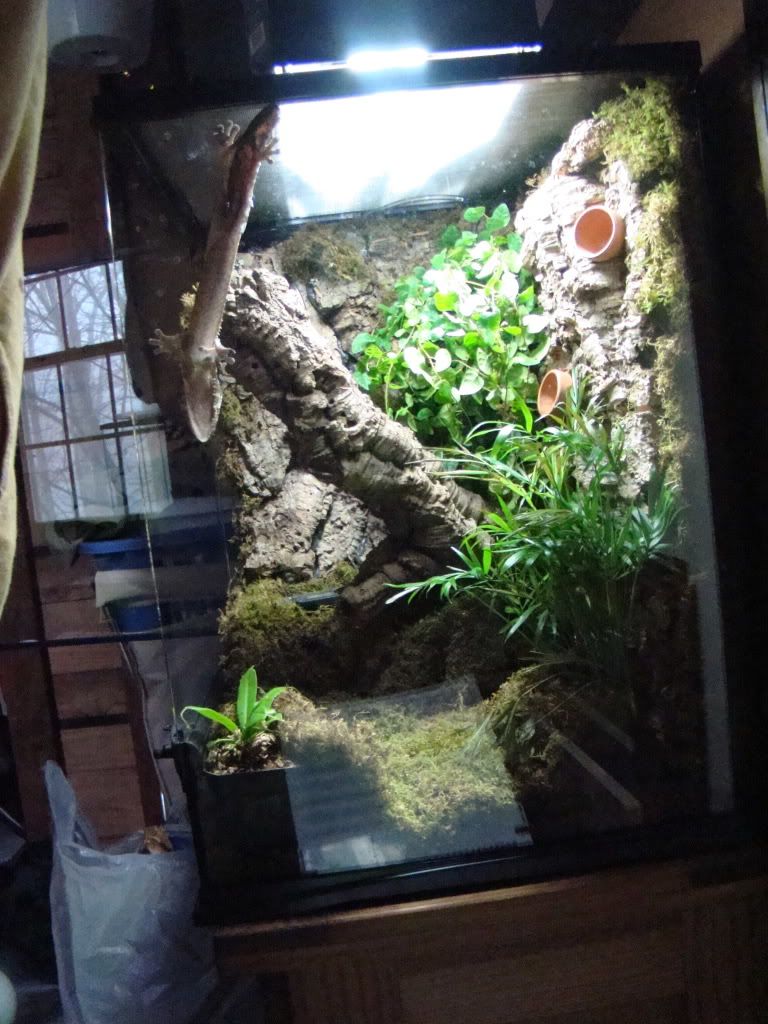 DSC04899.jpg