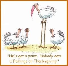 funny thanksgiving 5 Pictures, Images and Photos