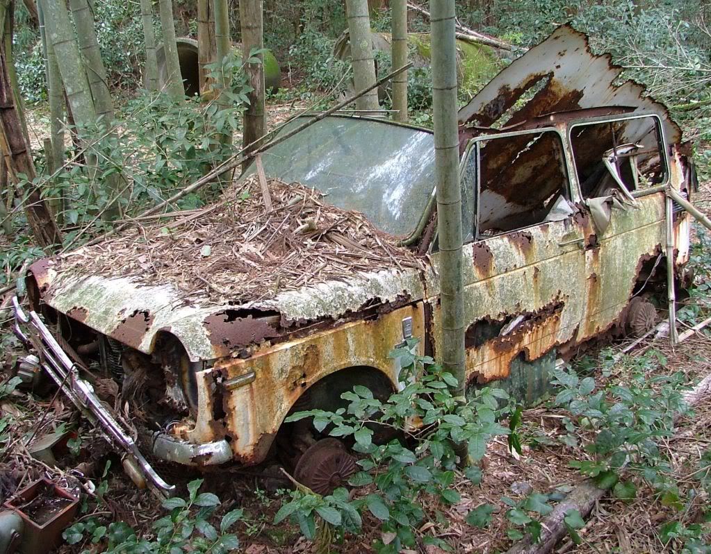 car.jpg