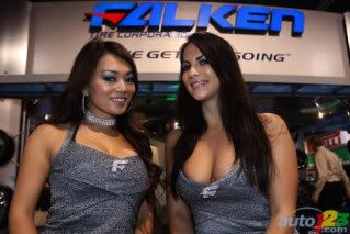 http://i253.photobucket.com/albums/hh46/rexmanches/SEMA%202010/Falkengirls.jpg