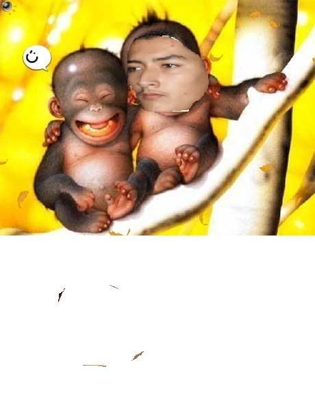funny monkeys. monkey middot; 7krew posted a photo