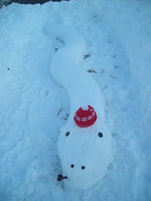 DSCN4793.jpg