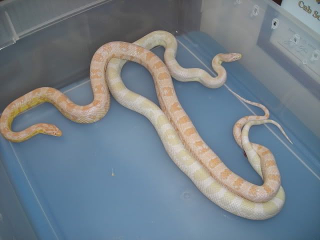 DSCN5189.jpg