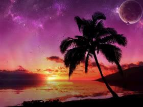 The good night pc
