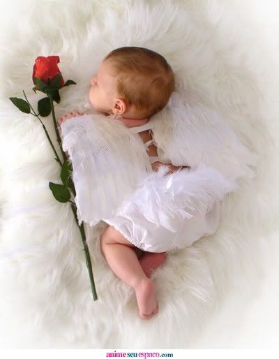 baby rose Pictures, Images and Photos