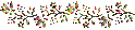 Limage