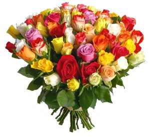 Limage “http://i253.photobucket.com/albums/hh50/marujita_011/fleurs/6_1.jpg?t=1201086575” ne peut être affichée car elle contient des erreurs.