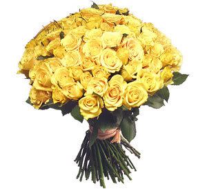 Limage “http://i253.photobucket.com/albums/hh50/marujita_011/fleurs/6_6.jpg?t=1201086357” ne peut être affichée car elle contient des erreurs.