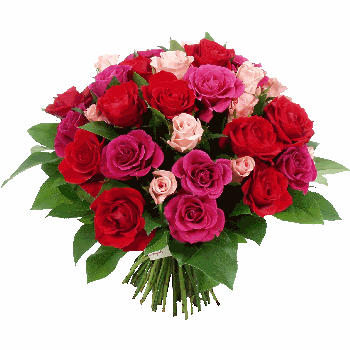 Limage “http://i253.photobucket.com/albums/hh50/marujita_011/fleurs/BM1.gif?t=1201086025” ne peut être affichée car elle contient des erreurs.