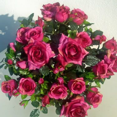 http://i253.photobucket.com/albums/hh50/marujita_011/fleurs/r1.jpg?t=1266926987