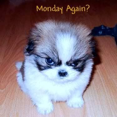 ne9pxg.jpg monday image by tinkerbell02158