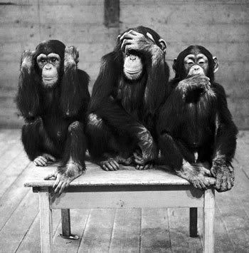 three-wise-monkeys-c11765657.jpg