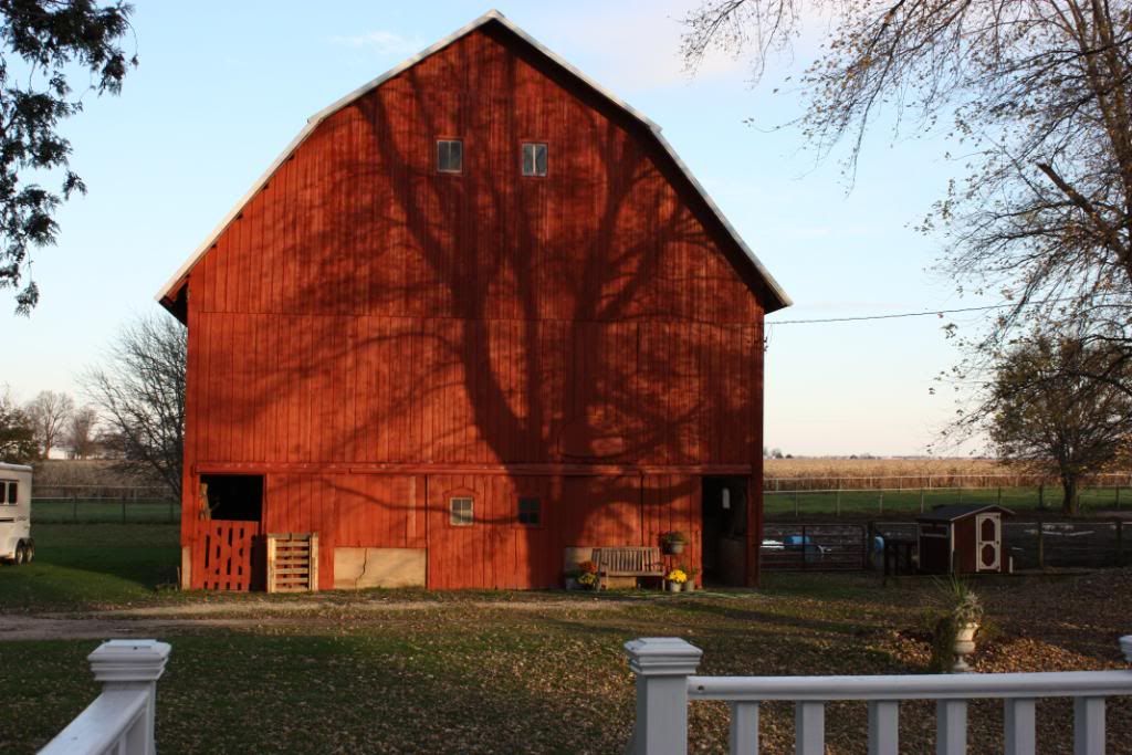 Homestead Pictures Thread.. - Homesteading Questions