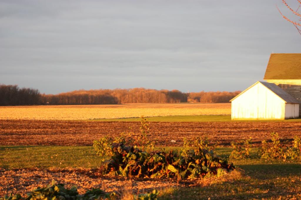 Homestead Pictures Thread.. - Homesteading Questions