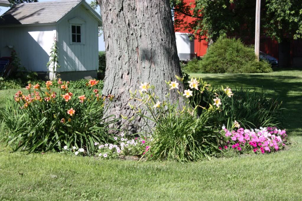 Homestead Pictures Thread.. - Homesteading Questions