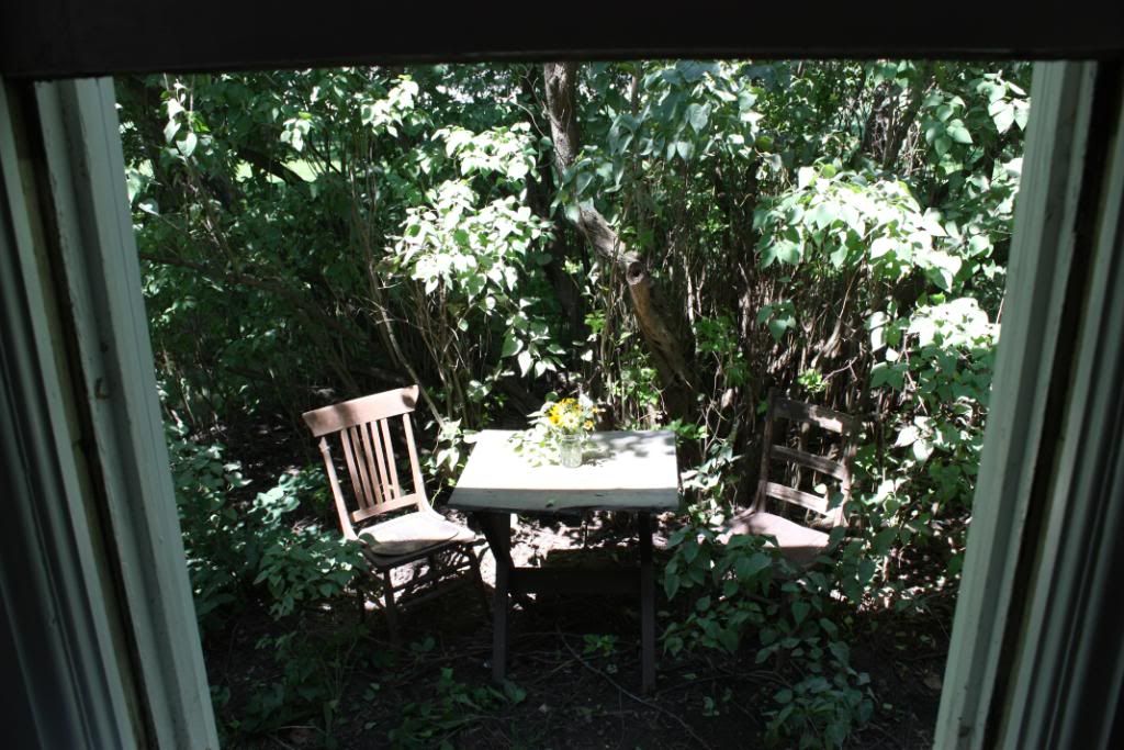 Homestead Pictures Thread.. - Homesteading Questions