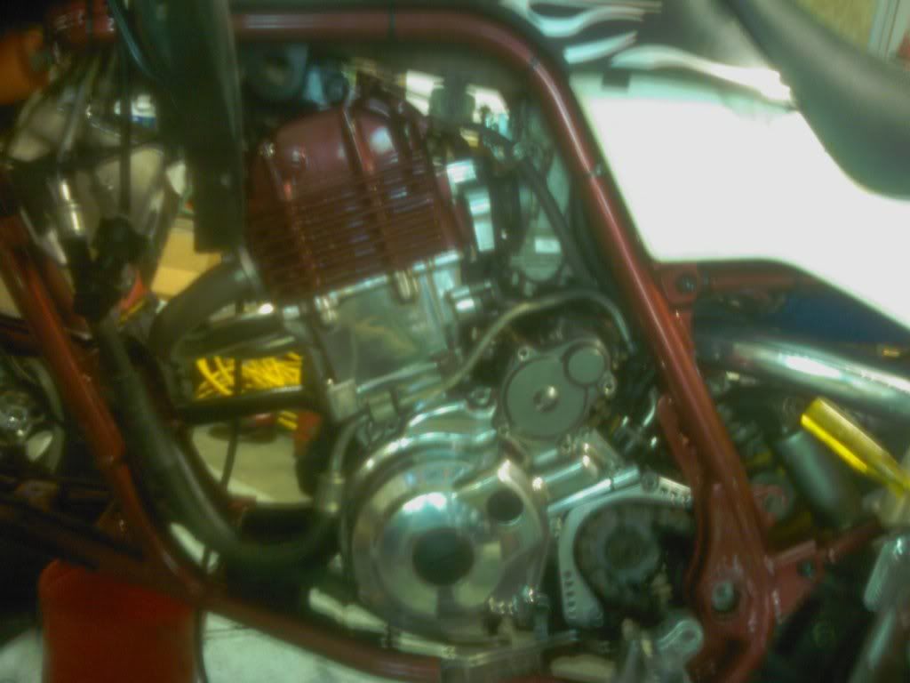 01 660 complete rebuild Yamaha Raptor Forum