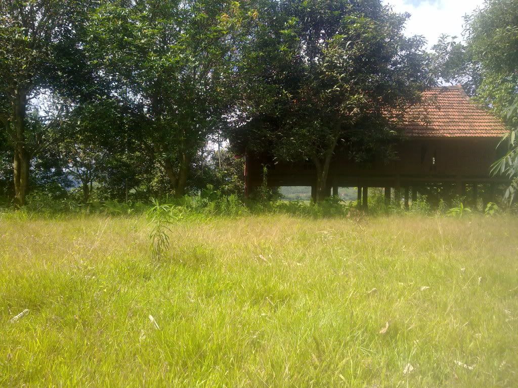 Có 5000m2 cả vườn và ao, vốn 50 triệu, nên nuôi gì?