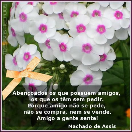 chat amizade livre sexo no campo chat amizade livre sexo no campo