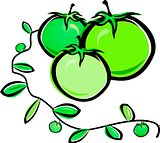 Green Tomaotes photo 0608_recipe_green_tomatoes_zpscfa26172.jpg