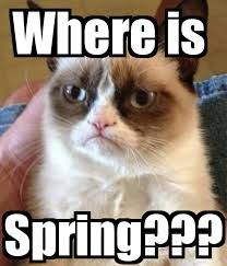 Where is Spring? photo imagesqtbnANd9GcSKXCwrI7aNjzeYNps8j_zps0f4d6e57.jpg
