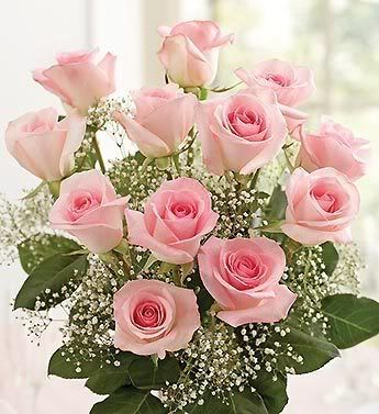 Pink roses bouquet Pictures, Images and Photos