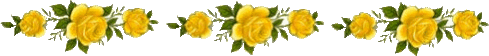 Yellow roses divider Pictures, Images and Photos