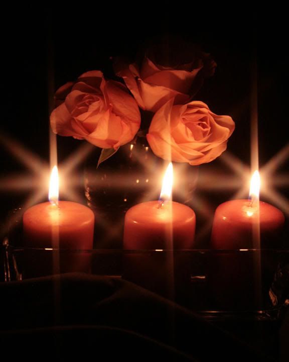Orange Roses and lit candles Pictures, Images and Photos