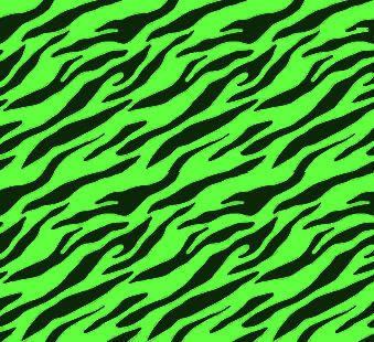 Wallpaper Backgrounds on Lime Green Zebra Image   Lime Green Zebra Graphic Code