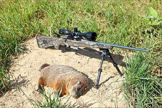 groundhog-1-with-rifle.jpg