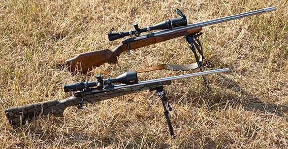 groundhog-9-rifles-x-2.jpg