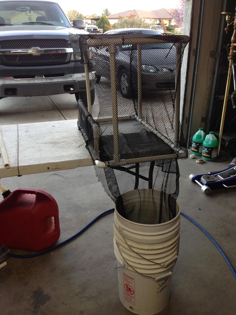 Tabletop Brass Catcher