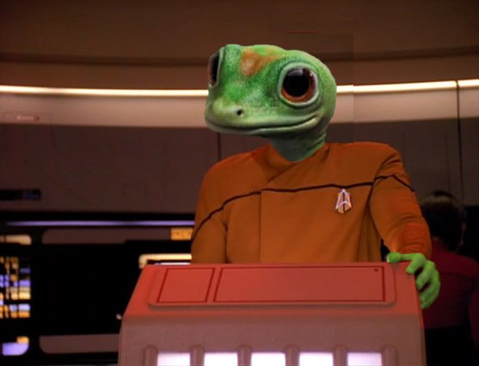 lizardsecurity.jpg