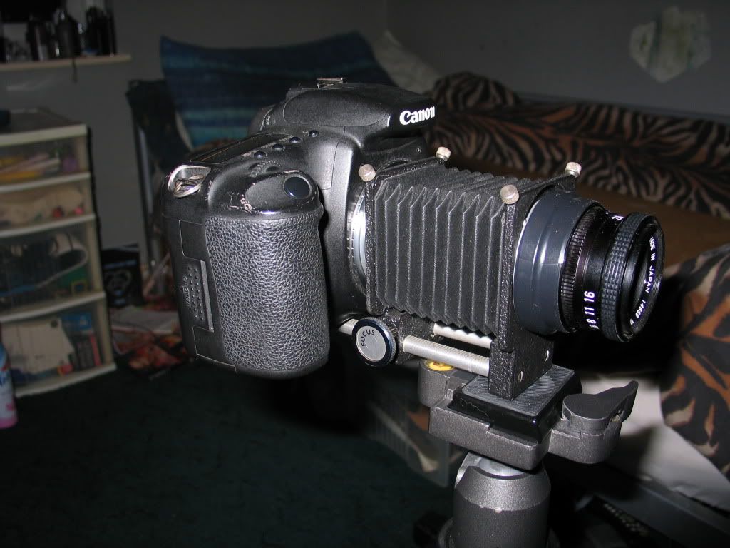 IMAGE: http://i253.photobucket.com/albums/hh61/The_Ran/IMG_4380.jpg