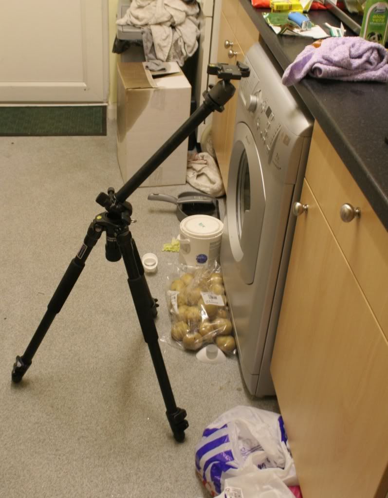 IMAGE: http://i253.photobucket.com/albums/hh61/The_Ran/IMG_6222.jpg