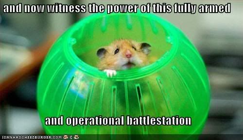 funny-pictures-deathstar-hamster.jpg